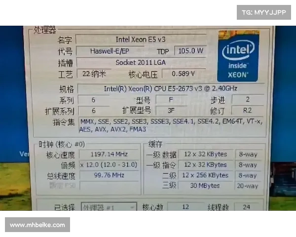 E5 2666V3搭配1660显卡性能测试与游戏体验分析